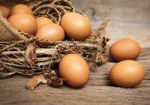 OEUFS bio - 6 -